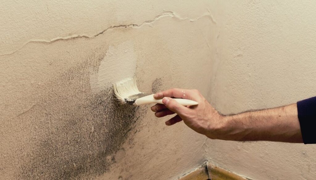 Can you paint over mold?