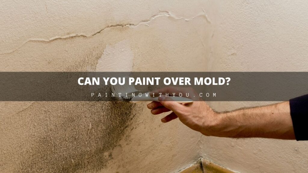 Can you paint over mold in my home