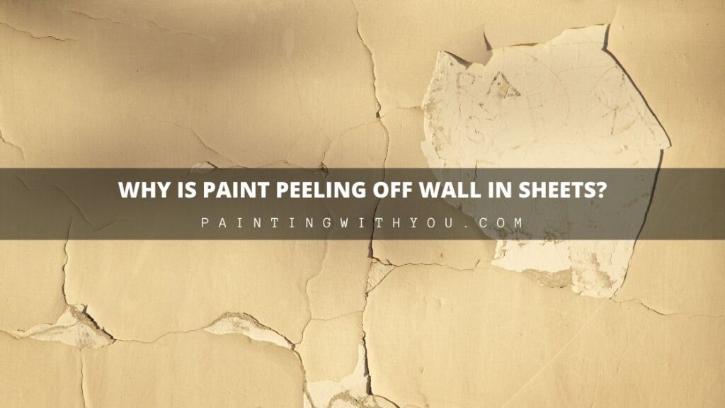 Why is Paint Peeling Off the Wall in Sheets?